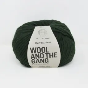 Crazy Sexy Wool - Heritage Green