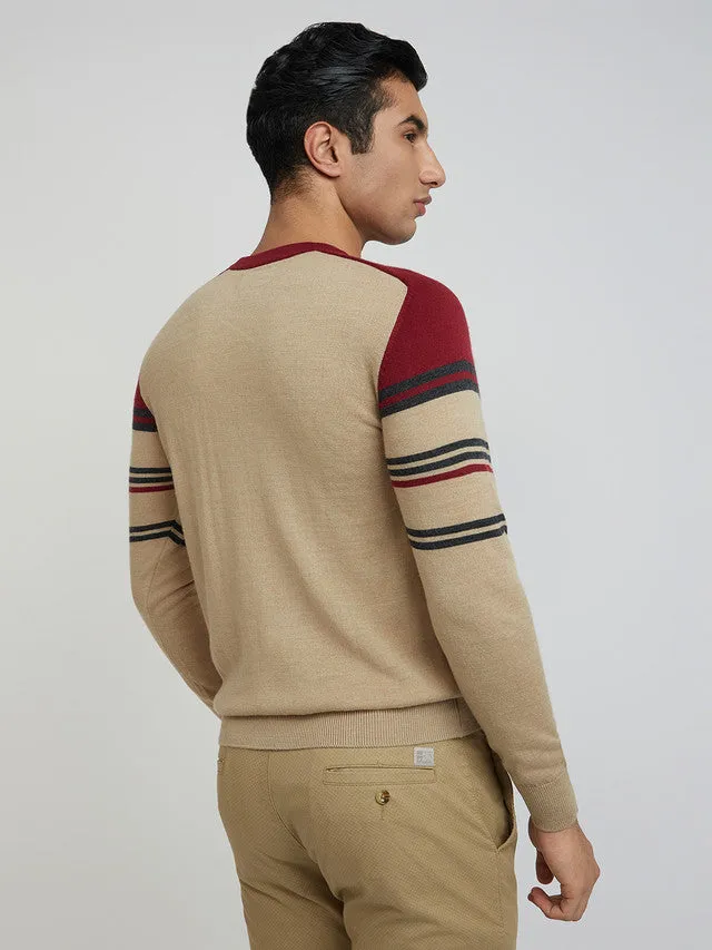 Men Fawn Tailored Fit Stripe Merino Wool Acrylic Blend Full Sleeve V Neck Collar Sweaters
