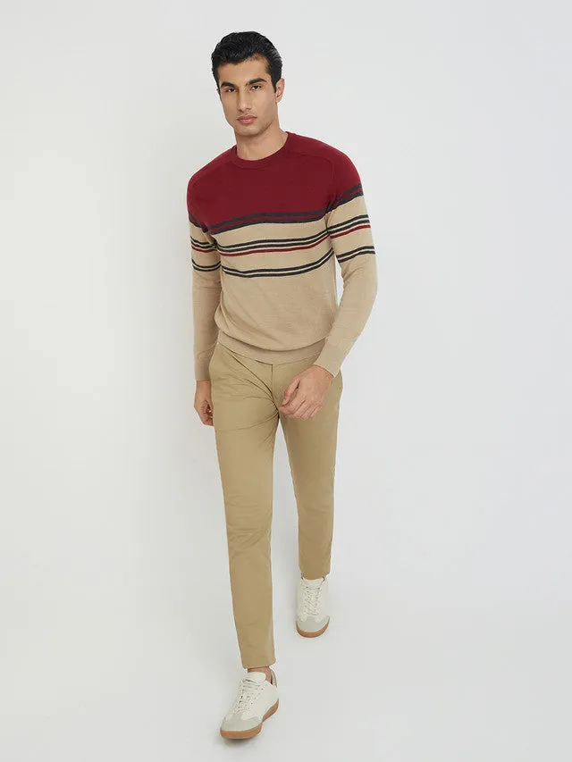 Men Fawn Tailored Fit Stripe Merino Wool Acrylic Blend Full Sleeve V Neck Collar Sweaters