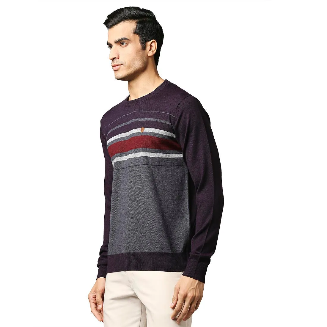 Men Violet Stripe Acrylic Wool Blend Round Collar Sweaters